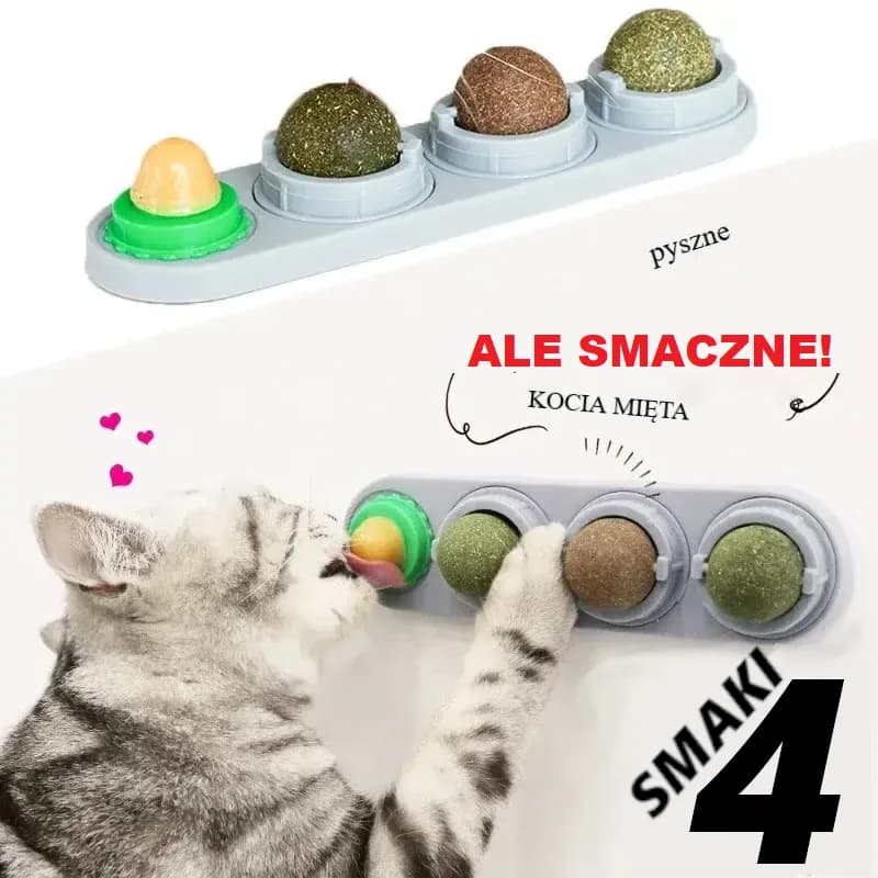 Naturalna kocimiętka dla kota4 w 1 , przyklejana na ścianę, zabawka-drapak, przysmak, zdrowy, naturalny, usuwa piłki, wspomagając trawienie, trawiasta przekąska dla kota